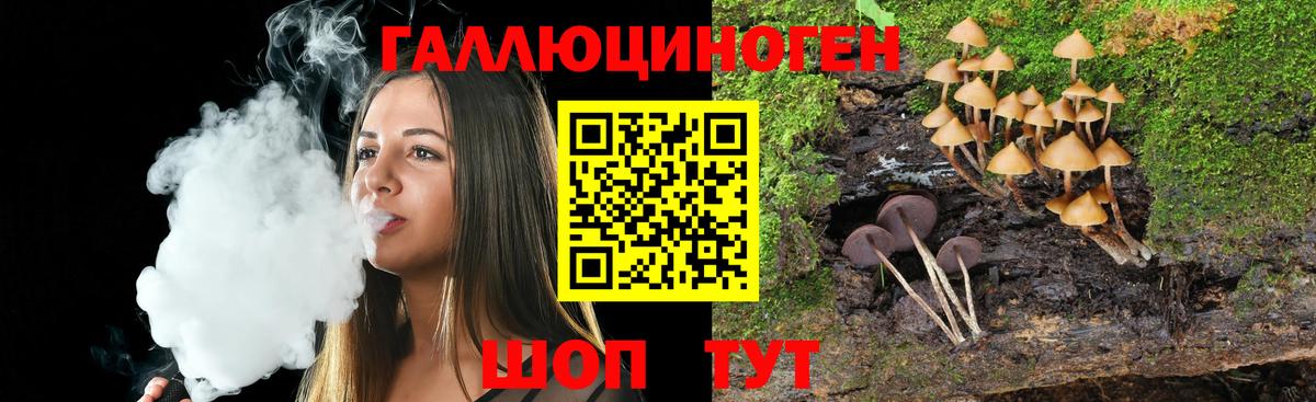 Псилоцибиновые грибы Psilocybe  Вход с VPN  наркота  Тихвин 